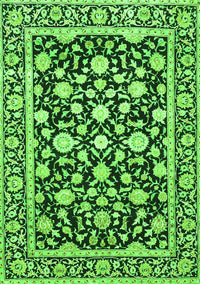 Persian Green Traditional Rug, tr4553grn