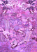 Machine Washable Animal Purple Traditional Area Rugs, wshtr4557pur