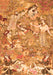 Animal Orange Traditional Rug, tr4557org