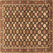 Square Persian Brown Traditional Rug, tr4558brn