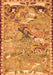 Serging Thickness of Machine Washable Animal Orange Traditional Area Rugs, wshtr4564org