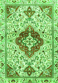 Persian Green Traditional Rug, tr4567grn