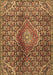 Machine Washable Persian Brown Traditional Rug, wshtr4569brn