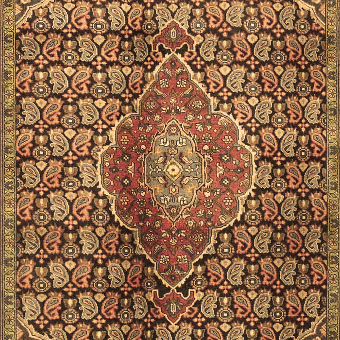 Machine Washable Persian Brown Traditional Rug, wshtr4569brn