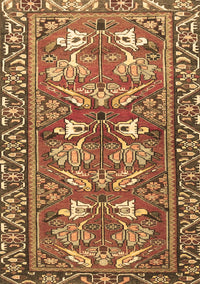 Persian Brown Traditional Rug, tr4572brn