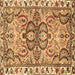 Square Persian Brown Traditional Rug, tr4573brn