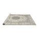 Sideview of Machine Washable Traditional Champagne Beige Rug, wshtr4579