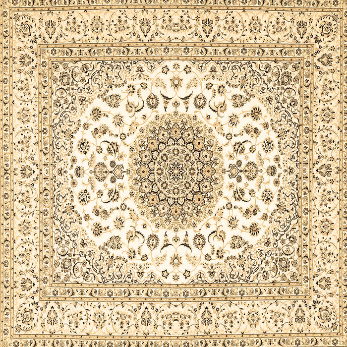 Square Machine Washable Medallion Brown Traditional Rug, wshtr4579brn