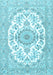 Persian Light Blue Traditional Rug, tr4582lblu