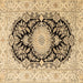 Square Medallion Brown Traditional Rug, tr4587brn