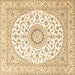 Square Medallion Brown Traditional Rug, tr4588brn