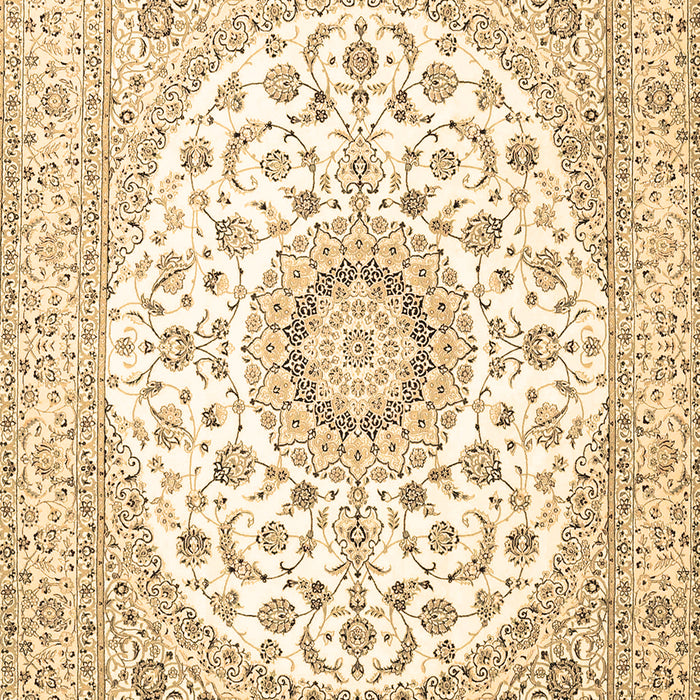 Machine Washable Medallion Brown Traditional Rug, wshtr4588brn