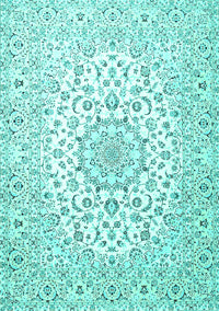 Medallion Turquoise Traditional Rug, tr4590turq