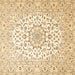 Square Medallion Brown Traditional Rug, tr4590brn