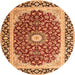 Machine Washable Persian Orange Traditional Area Rugs, wshtr4596org