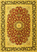 Machine Washable Persian Yellow Traditional Rug, wshtr4596yw