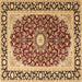 Square Persian Brown Traditional Rug, tr4596brn