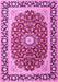 Machine Washable Persian Pink Traditional Rug, wshtr4596pnk