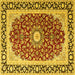 Square Machine Washable Persian Yellow Traditional Rug, wshtr4596yw