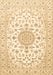 Medallion Brown Traditional Rug, tr4598brn