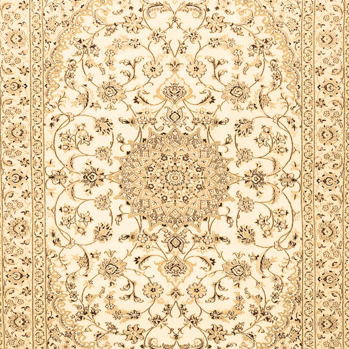 Machine Washable Medallion Brown Traditional Rug, wshtr4598brn
