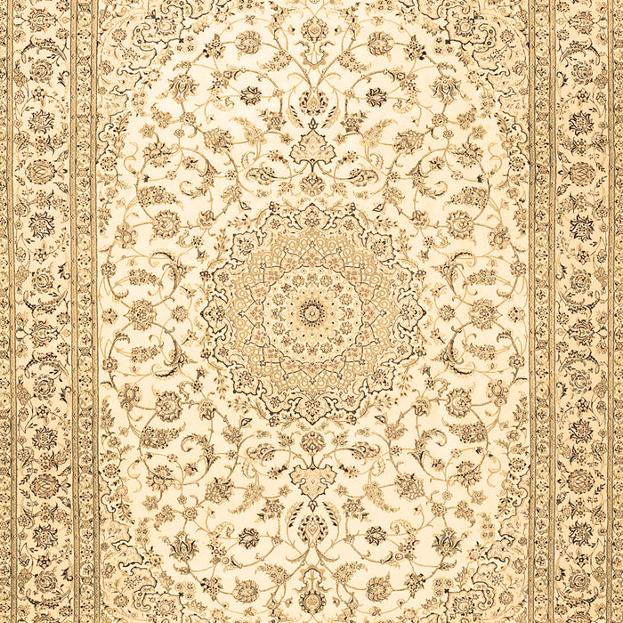 Machine Washable Medallion Brown Traditional Rug, wshtr4600brn