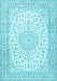 Machine Washable Medallion Light Blue Traditional Rug, wshtr4600lblu