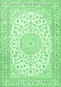 Medallion Emerald Green Traditional Rug, tr4600emgrn