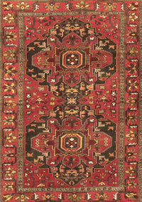 Persian Brown Traditional Rug, tr4601brn