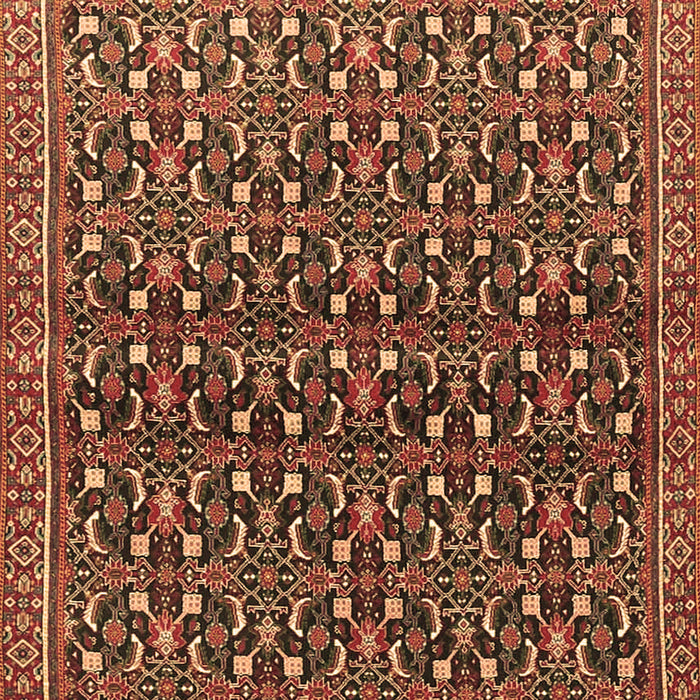 Machine Washable Persian Brown Traditional Rug, wshtr4605brn