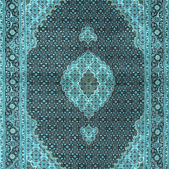 Medallion Light Blue Traditional Rug, tr4611lblu