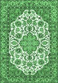 Medallion Emerald Green Traditional Rug, tr4612emgrn