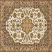 Square Medallion Brown Traditional Rug, tr4612brn