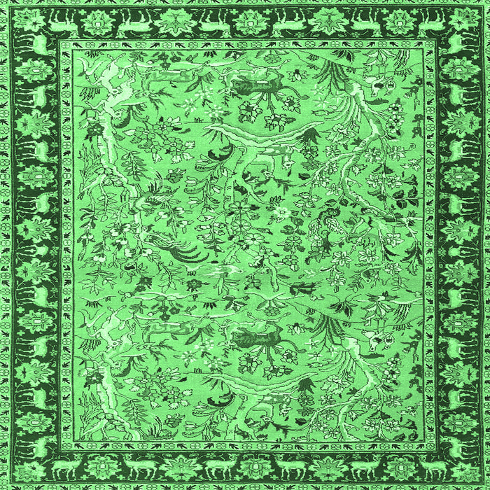Square Machine Washable Animal Emerald Green Traditional Area Rugs, wshtr4613emgrn