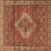 Square Machine Washable Medallion Brown Traditional Rug, wshtr4614brn