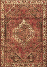 Medallion Brown Traditional Rug, tr4614brn