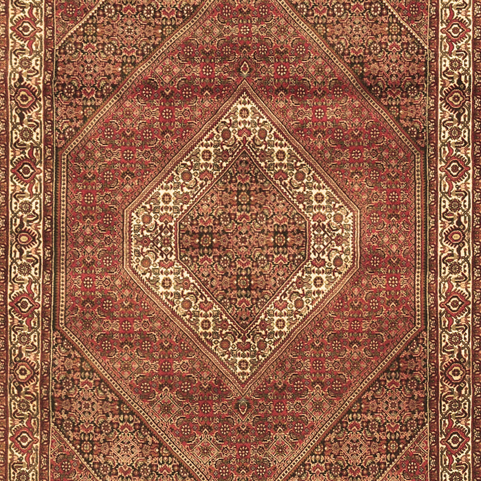Medallion Brown Traditional Rug, tr4614brn
