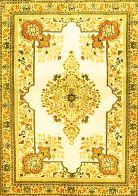 Medallion Yellow Traditional Rug, tr4615yw