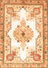 Medallion Orange Traditional Rug, tr4615org