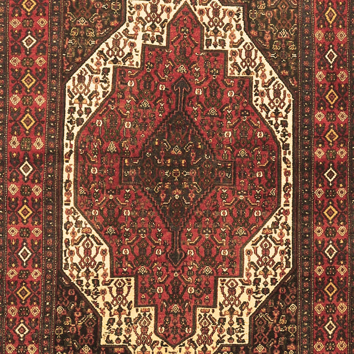 Machine Washable Medallion Brown Traditional Rug, wshtr4616brn