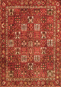 Persian Orange Traditional Rug, tr4621org