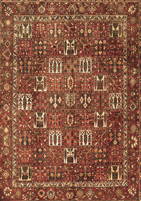 Persian Brown Traditional Rug, tr4621brn