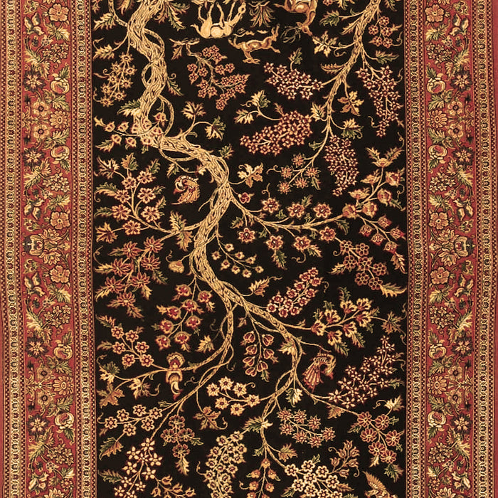 Machine Washable Persian Brown Traditional Rug, wshtr4624brn