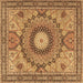 Square Machine Washable Medallion Brown Traditional Rug, wshtr4629brn