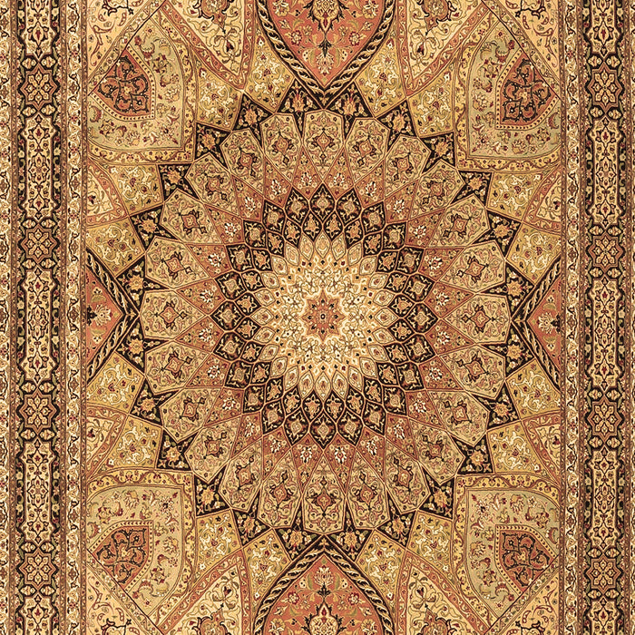 Machine Washable Medallion Brown Traditional Rug, wshtr4629brn