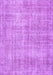 Persian Purple Traditional Rug, tr462pur