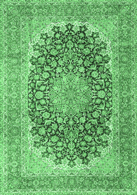 Medallion Emerald Green Traditional Rug, tr4640emgrn