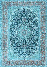 Medallion Light Blue Traditional Rug, tr4640lblu