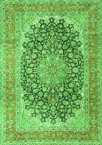 Medallion Green Traditional Rug, tr4640grn