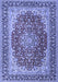 Medallion Blue Traditional Rug, tr4641blu